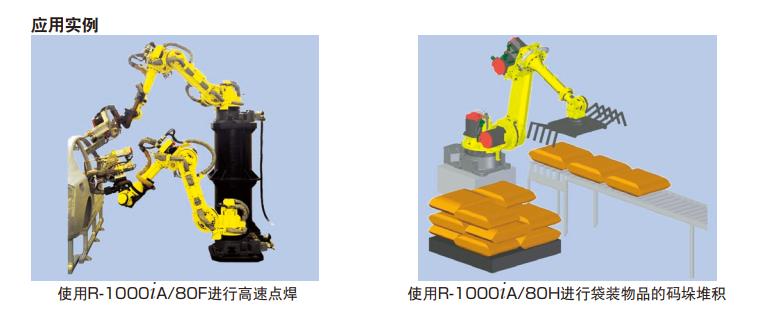 R100IA應用.bmp